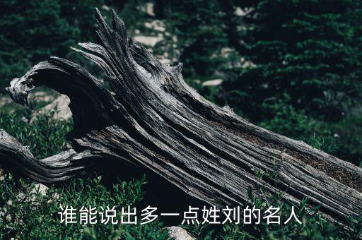 安徽八一紡織器材廠,槎水八一紡織器材廠股東