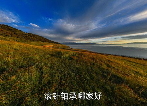 滾針軸承哪家好