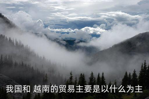 我國和 越南的貿(mào)易主要是以什么為主