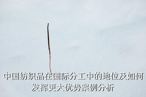 中國(guó)紡織品在國(guó)際分工中的地位及如何發(fā)揮更大優(yōu)勢(shì)案例分析