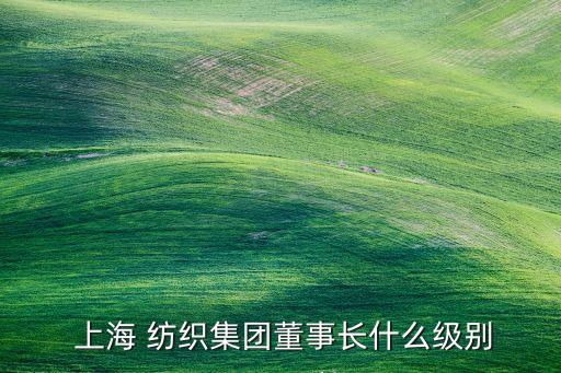  上海 紡織集團(tuán)董事長(zhǎng)什么級(jí)別