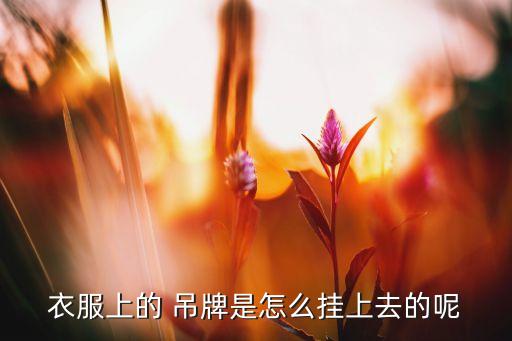 衣服上的 吊牌是怎么掛上去的呢
