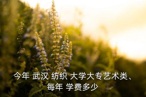 今年 武漢 紡織 大學(xué)大專藝術(shù)類、每年 學(xué)費(fèi)多少