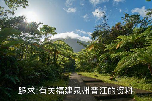 跪求:有關福建泉州晉江的資料