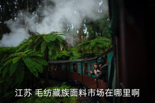 江蘇 毛紡藏族面料市場(chǎng)在哪里啊