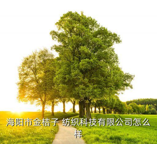 海陽市金桔子 紡織科技有限公司怎么樣