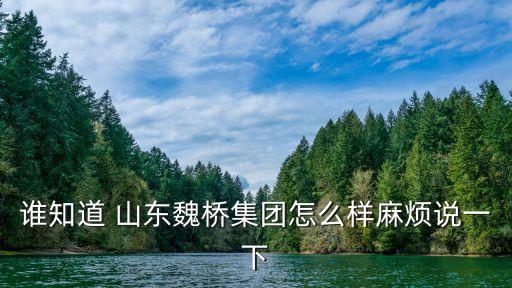 誰知道 山東魏橋集團怎么樣麻煩說一下