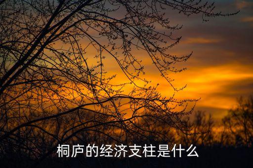  桐廬的經(jīng)濟(jì)支柱是什么