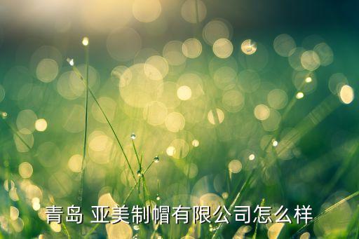 山東亞美紡織,蘇州亞美紡織機(jī)電