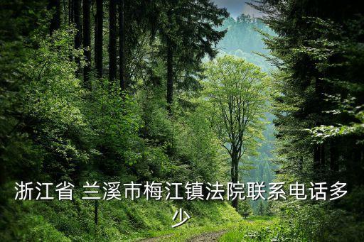 浙江省 蘭溪市梅江鎮(zhèn)法院聯(lián)系電話多少