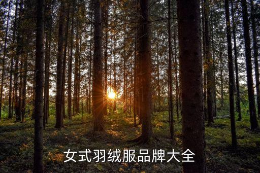 女式羽絨服品牌大全