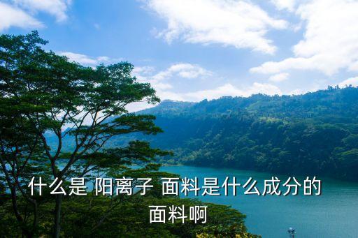 什么是 陽離子 面料是什么成分的 面料啊