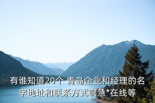 有誰(shuí)知道20個(gè) 青島企業(yè)和經(jīng)理的名字地址和聯(lián)系方式啊急*在線等