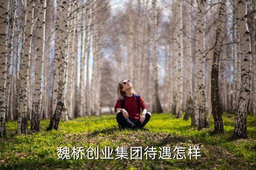 魏橋紡織股份有限公司