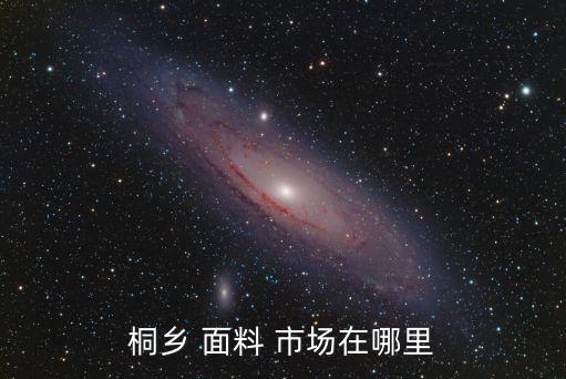 浙江 面料市場,浙江最大的面料市場在哪里