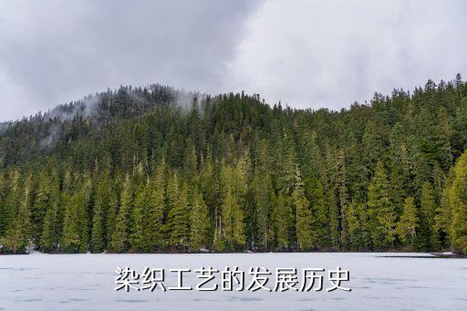 染織工藝的發(fā)展歷史