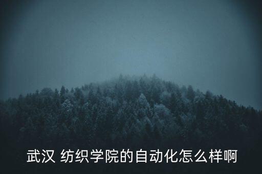武漢紡織大學(xué)長(zhǎng)江學(xué)者