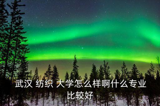  武漢 紡織 大學(xué)怎么樣啊什么專業(yè)比較好