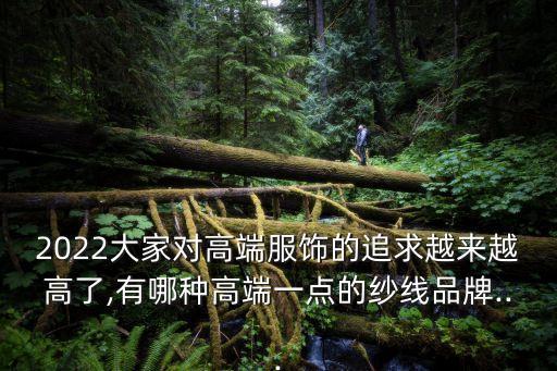 2022大家對高端服飾的追求越來越高了,有哪種高端一點的紗線品牌...