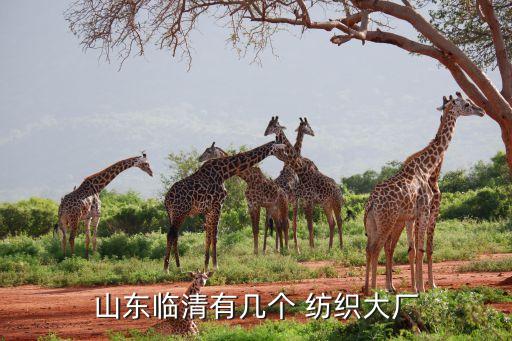 高密坤鵬紡織有限公司,山東高密大昌紡織有限公司