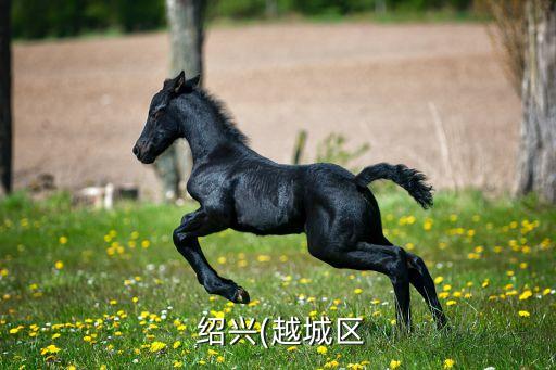 紹興建中印染服裝有限公司,紹興富強(qiáng)宏泰印染有限公司