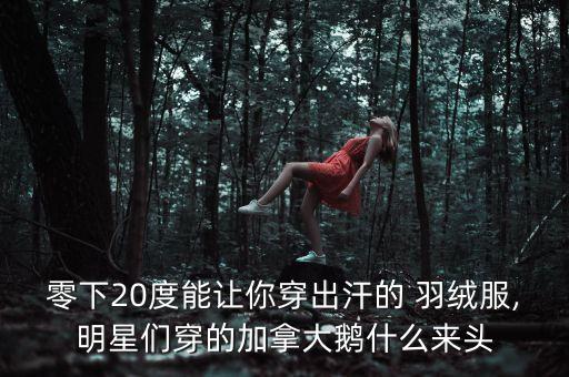 零下20度能讓你穿出汗的 羽絨服,明星們穿的加拿大鵝什么來頭