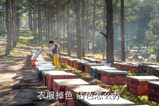 衣服掉色 沾色怎么辦