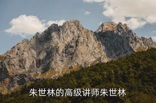 朱世林的高級(jí)講師朱世林