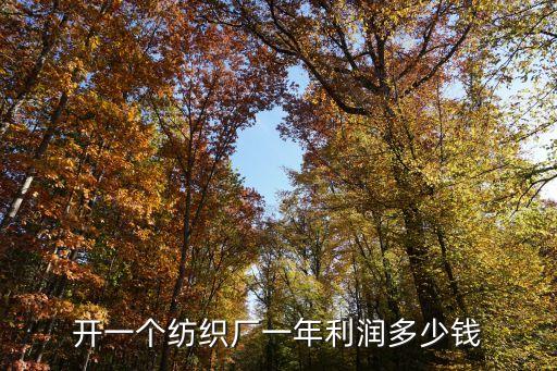 2015 紡織業(yè) 工資,越南紡織業(yè)工資多少