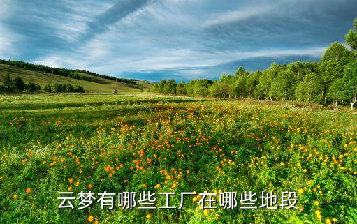 云夢(mèng)有哪些工廠在哪些地段