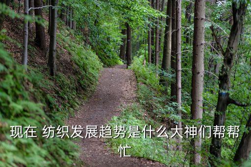 紡織鞋服行業(yè)2015年