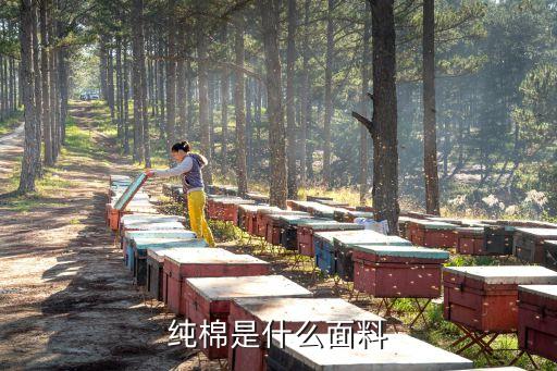 純棉是什么面料