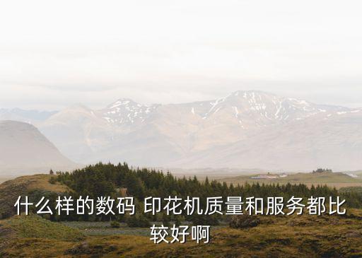 什么樣的數(shù)碼 印花機(jī)質(zhì)量和服務(wù)都比較好啊