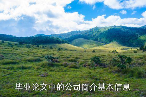畢業(yè)論文中的公司簡(jiǎn)介基本信息
