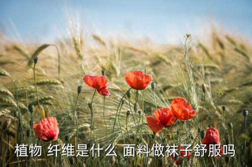 植物 纖維是什么 面料做襪子舒服嗎