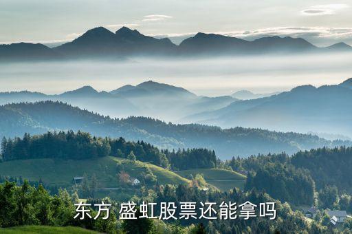 東方 盛虹股票還能拿嗎