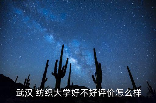  武漢 紡織大學(xué)好不好評價怎么樣