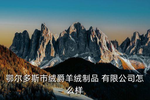 鄂爾多斯市絨爵羊絨制品 有限公司怎么樣