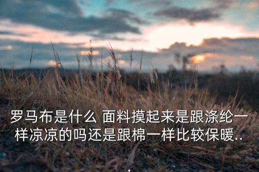 羅馬布是什么 面料摸起來是跟滌綸一樣涼涼的嗎還是跟棉一樣比較保暖...