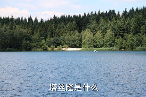  塔絲隆是什么