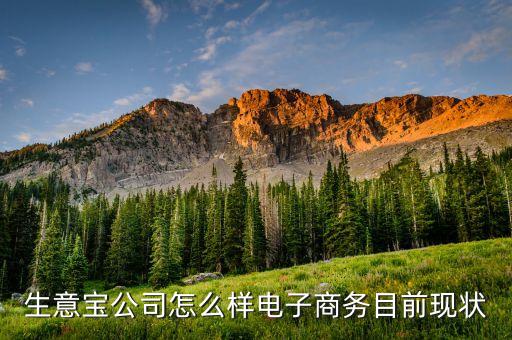 生意寶公司怎么樣電子商務(wù)目前現(xiàn)狀