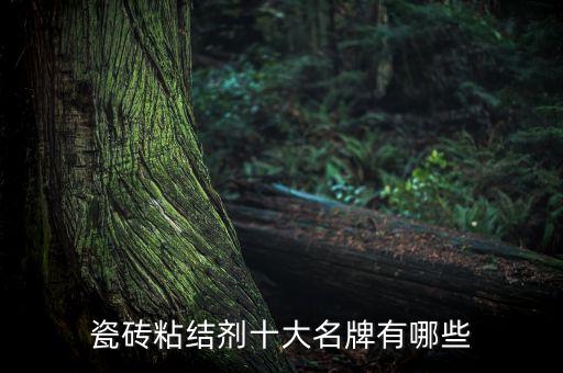 瓷磚粘結(jié)劑十大名牌有哪些