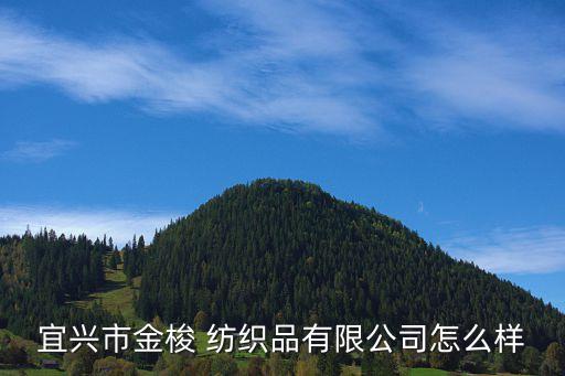 江蘇金?P紡織,江蘇最大的紡織集團(tuán)