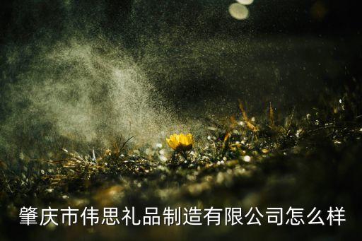  肇慶市偉思禮品制造有限公司怎么樣