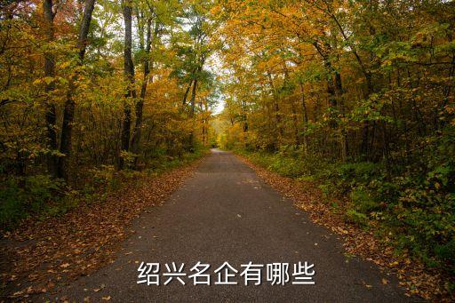 紹興名企有哪些