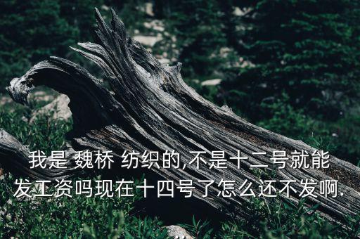 我是 魏橋 紡織的,不是十二號就能發(fā)工資嗎現(xiàn)在十四號了怎么還不發(fā)啊...