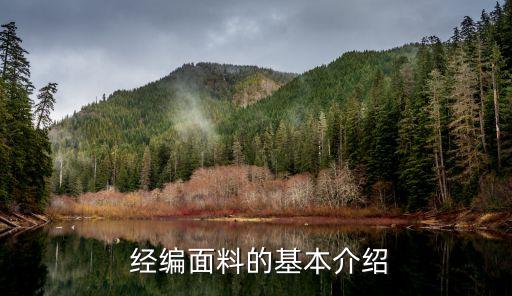 90% 尼龍 10% 氨綸泳裝經(jīng)編面料