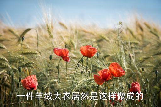 羊毛成面料制作過程步驟,羊毛呢面料制作過程
