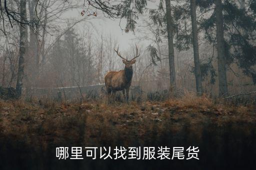 八布服飾有限公司,深圳市布尋服飾有限公司