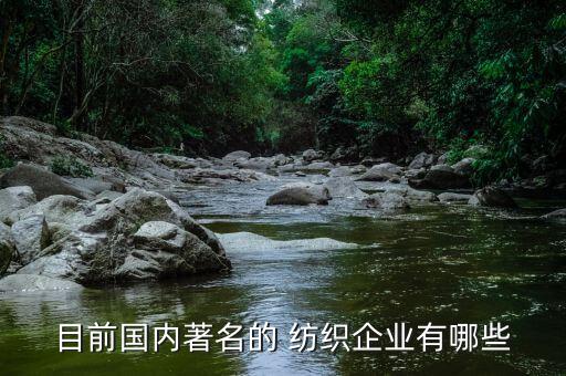 目前國(guó)內(nèi)著名的 紡織企業(yè)有哪些